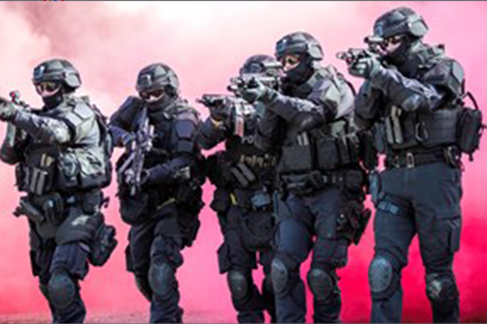 Global Defense System International - GDS
